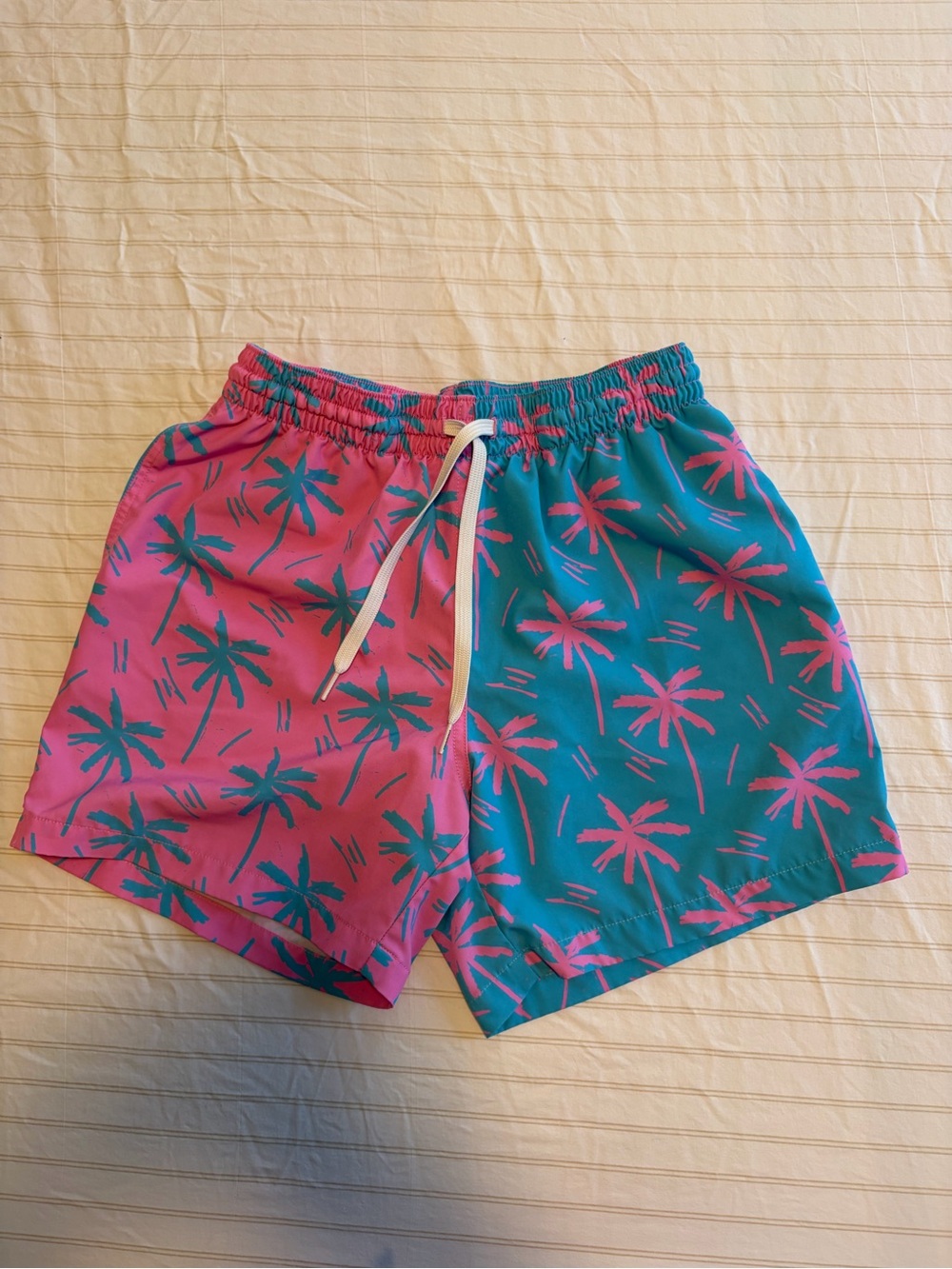 Chubbies men’s small swim trunks